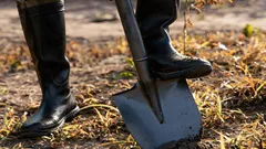 I april ska du strö ut det här gödselmedlet i köksträdgården: jorden blir tio gånger bördigare