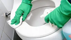 Toaletten kommer att dofta fräscht utan luftfräschare: ett snabbt, kemikaliefritt sätt